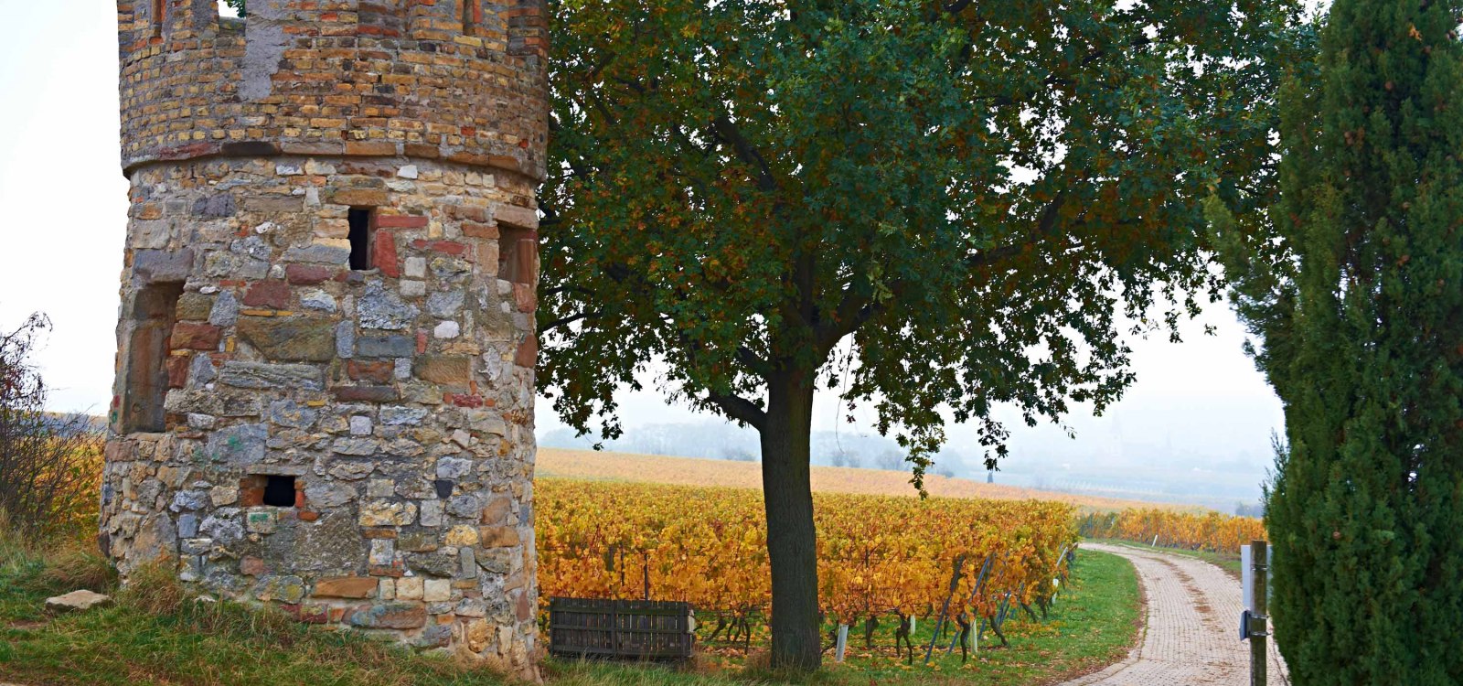 Weinbergshäuschen Weinbergshäuschen