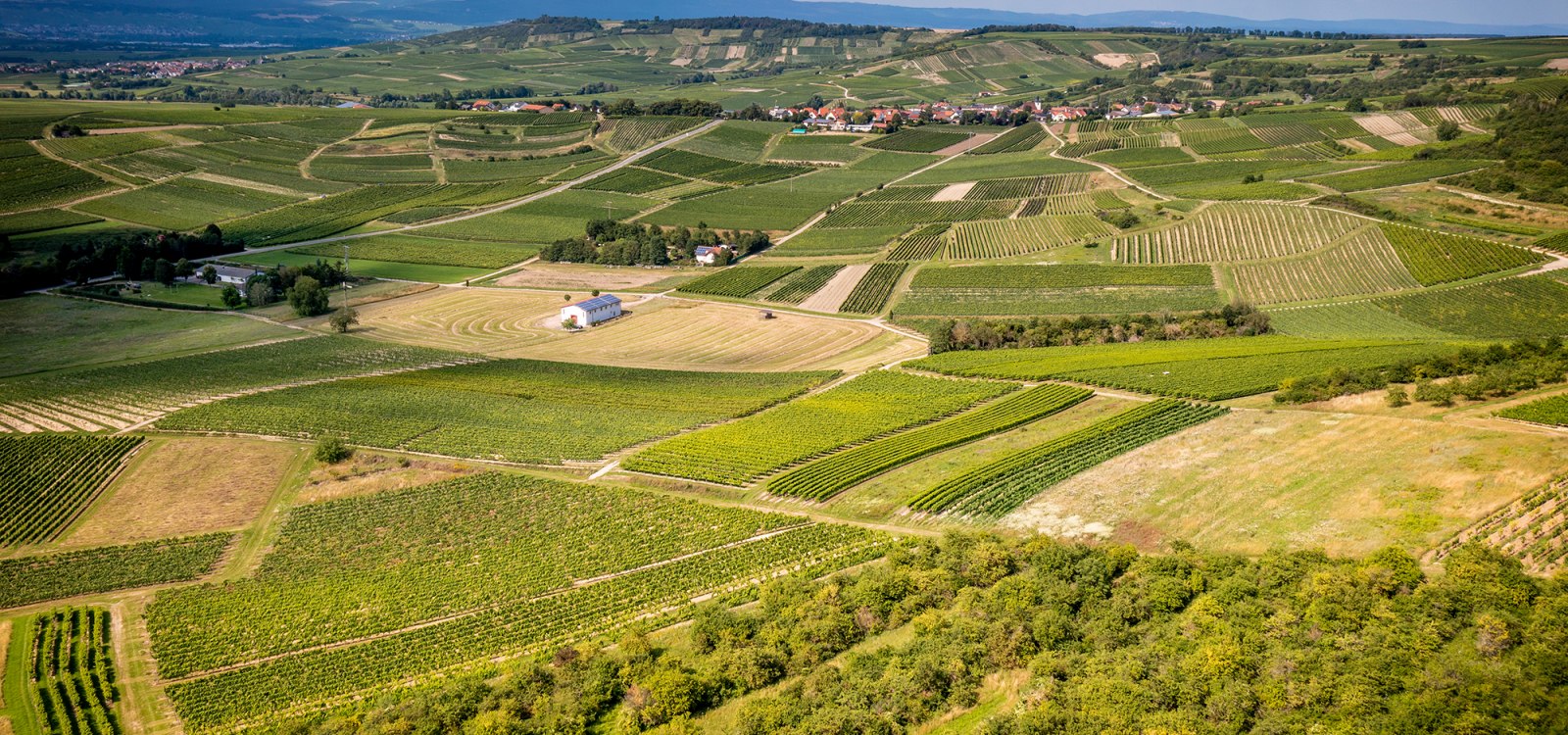 Horrweiler Gewürzgärtchen Horrweiler Gewürzgärtchen