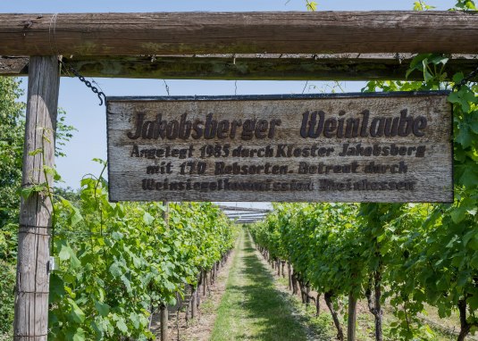 Weinlaube Schild © Verbandsgemeinde Gau-Algesheim, Andreas Pacek Weinlaube Schild © Verbandsgemeinde Gau-Algesheim, Andreas Pacek
