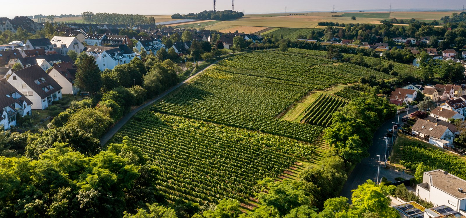 Hechtsheimer Kirchenstück Hechtsheimer Kirchenstück