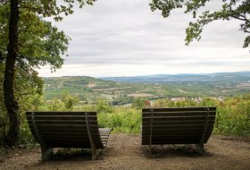 Wanderbericht Hiwweltour Bismarckturm Wanderbericht Hiwweltour Bismarckturm