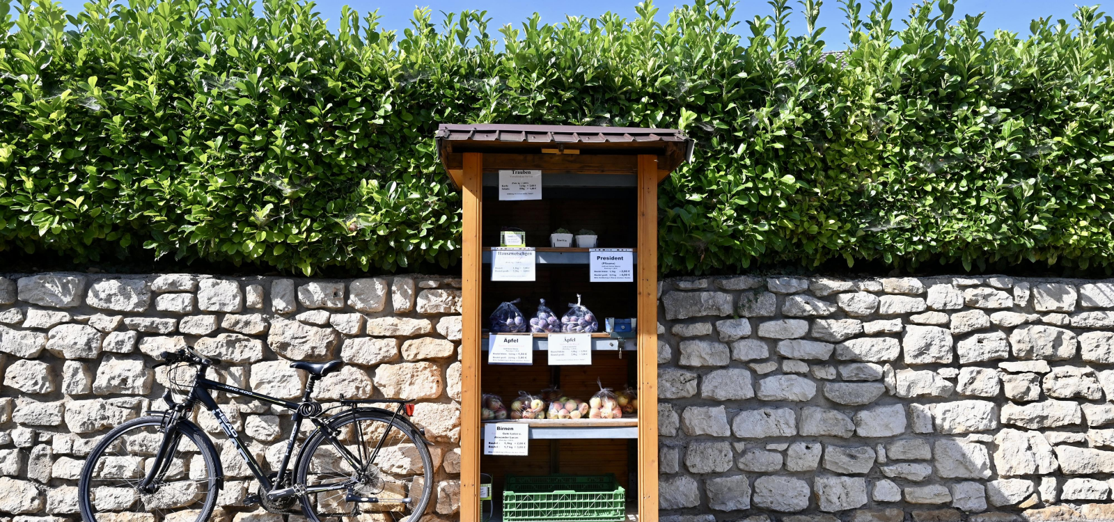 SB-Stand Obst SB-Stand Obst