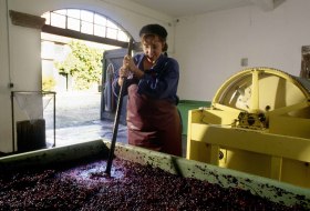 Mash, mash fermentation © DWI Mash, mash fermentation © DWI