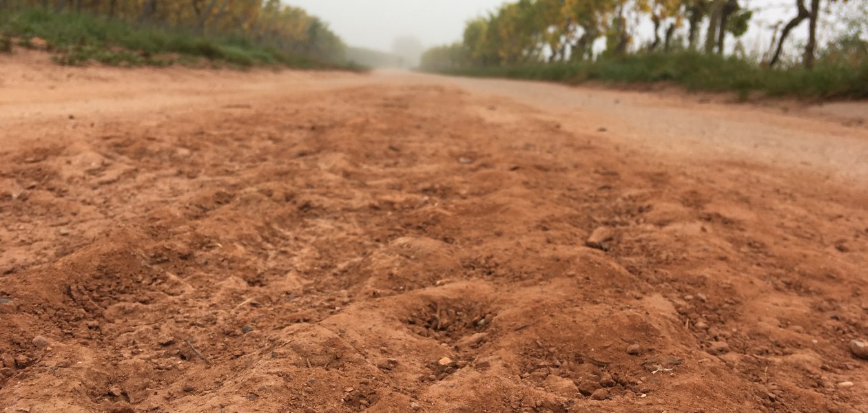 WeinBERGE, © Weingut Sans-Lorch WeinBERGE, © Weingut Sans-Lorch