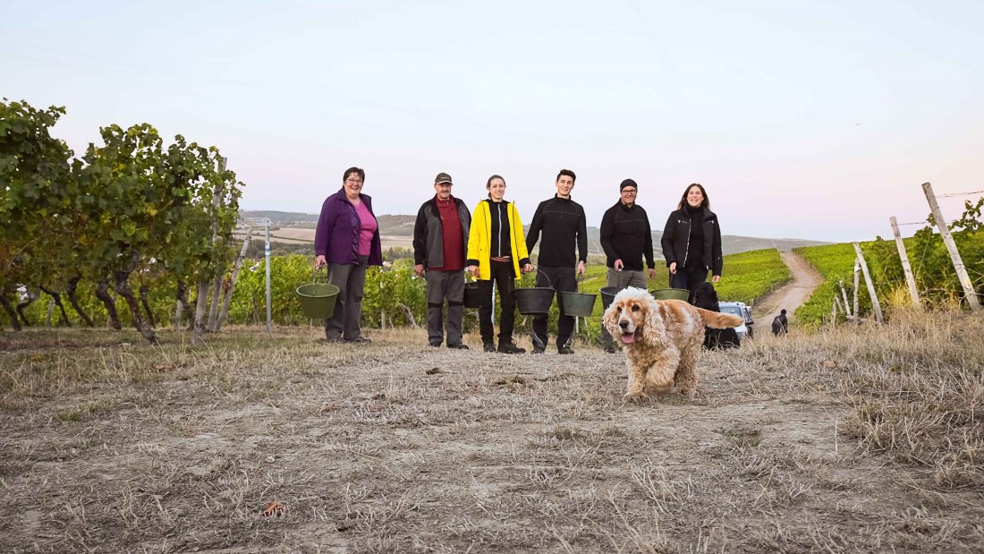 © Weingut Eppelmann © Weingut Eppelmann