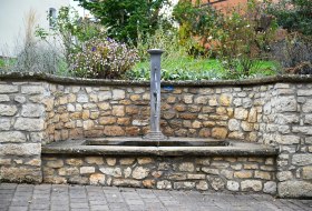 Weed © Touristikverein Wonnegau e.V. Weed © Touristikverein Wonnegau e.V.