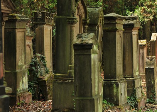 Blick auf den jüdischen Friedhof im Orsteil Dalshe © VG Monsheim/Fotograf Carsten Costard Blick auf den jüdischen Friedhof im Orsteil Dalshe © VG Monsheim/Fotograf Carsten Costard