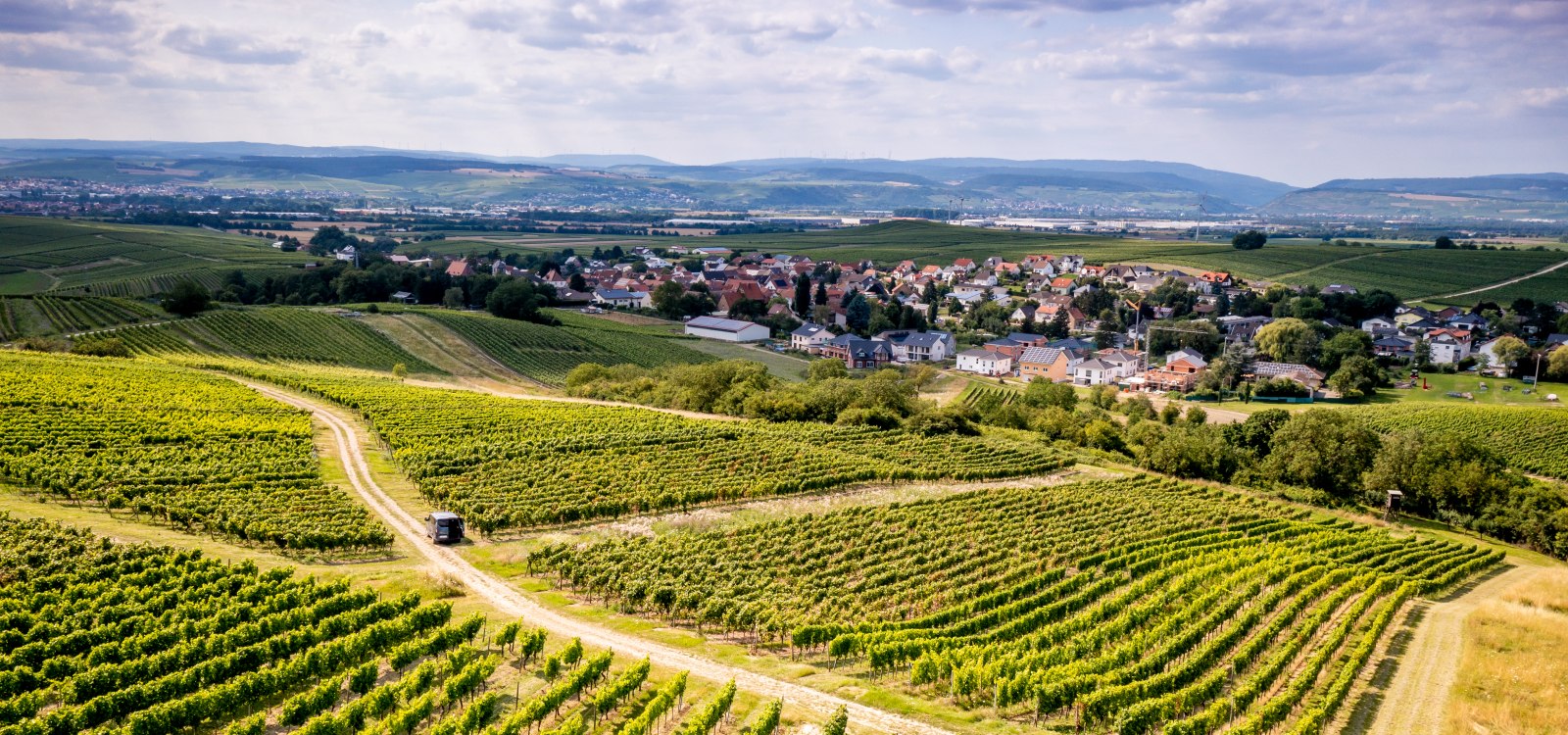 Horrweiler Gewürzgärtchen, © Torsten Silz Horrweiler Gewürzgärtchen, © Torsten Silz