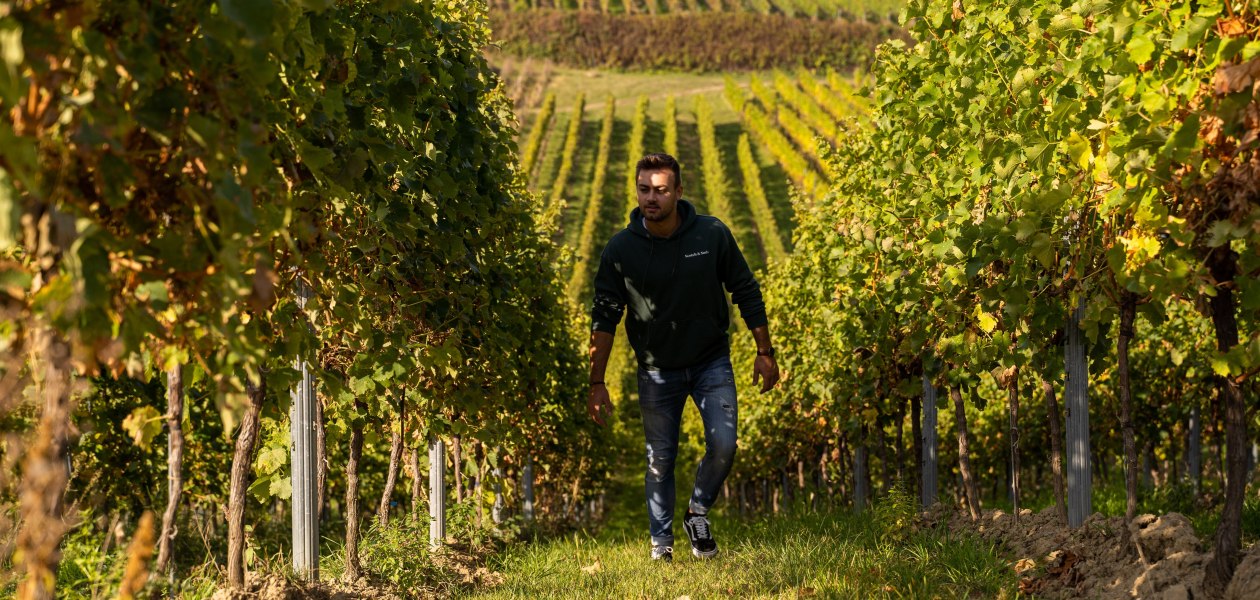 Mark Hahn Weine_Winzer in den Weinbergen, © Mark Hahn Weine Weingut Hahn GbR Mark Hahn Weine_Winzer in den Weinbergen, © Mark Hahn Weine Weingut Hahn GbR