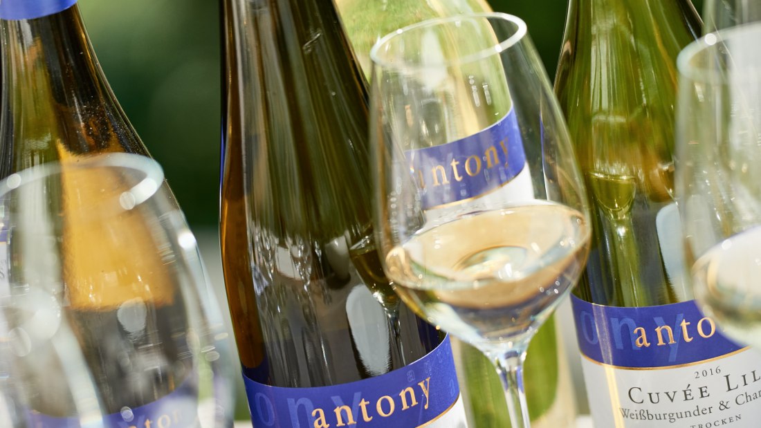 Weingut Antony_Weinflaschen, © Weingut Antony Weingut Antony_Weinflaschen, © Weingut Antony