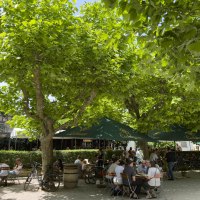 Biergarten in Worms Biergarten in Worms