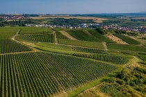 Sulzheimer Schildberg Sulzheimer Schildberg