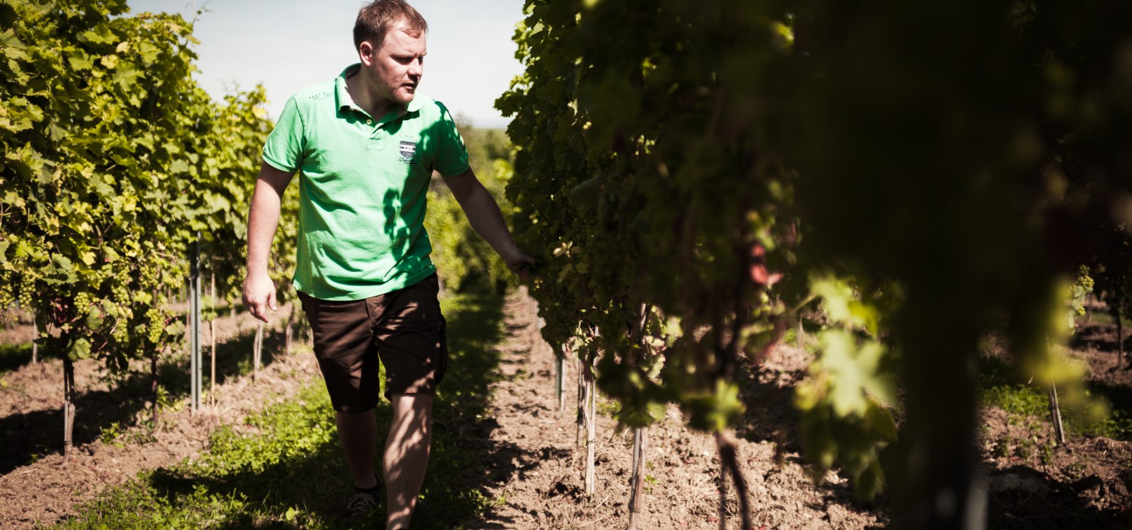 © Weingut Dackermann © Weingut Dackermann