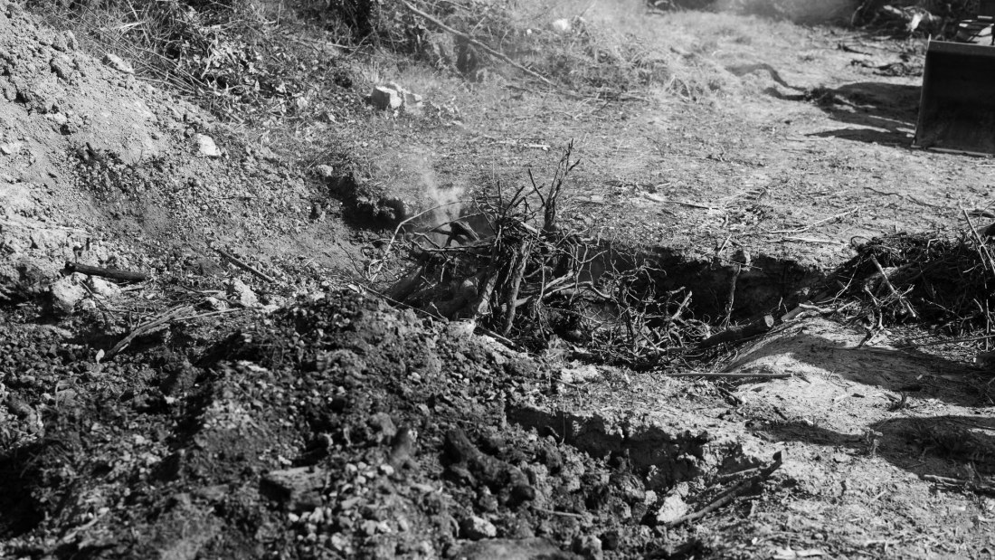 TerraPreta_1 TerraPreta_1