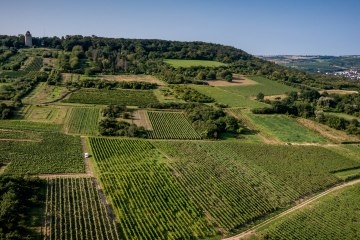 Gau-Algesheimer Steinert Gau-Algesheimer Steinert