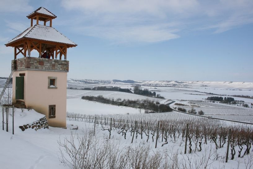 Familienweingut Dechent_Turm_Winter Familienweingut Dechent_Turm_Winter