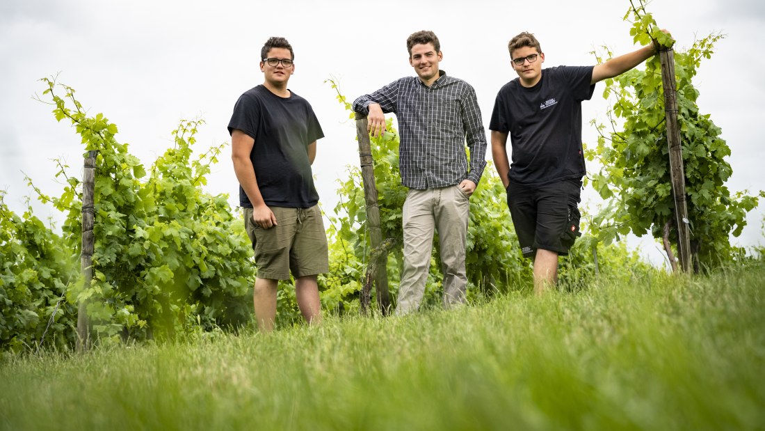 © Becker- Das Weingut © Becker- Das Weingut