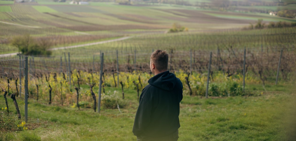 Weingut Binzel_Winzer Weinberg, © Weingut Binzel Weingut Binzel_Winzer Weinberg, © Weingut Binzel