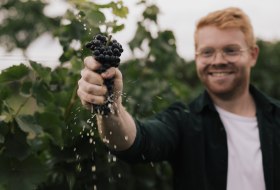 Peter - Pinot - Weingut Dr. Hinkel, © Sven Hasselbach Peter - Pinot - Weingut Dr. Hinkel, © Sven Hasselbach