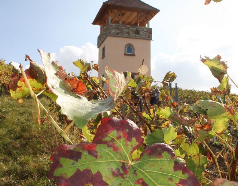 Familienweingut Dechent_Turm_Herbst Familienweingut Dechent_Turm_Herbst