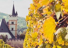 Genuss-KulTour Ober-Ingelheim, © Nadja Glässel-Roucka Genuss-KulTour Ober-Ingelheim, © Nadja Glässel-Roucka