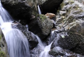 Bild Hartusch Bild Hartusch