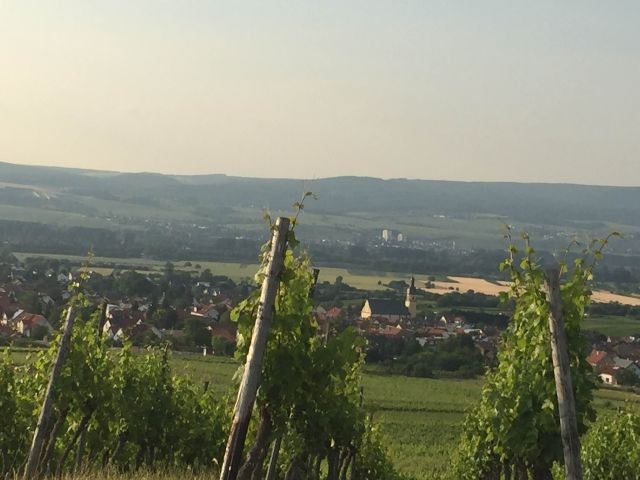 FamilienWeinGut Feser_Weinber, © FamilienWeinGut Feser FamilienWeinGut Feser_Weinber, © FamilienWeinGut Feser