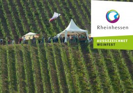 Weinpräsentation_Roter Hang, © Ullrich Knapp Weinpräsentation_Roter Hang, © Ullrich Knapp