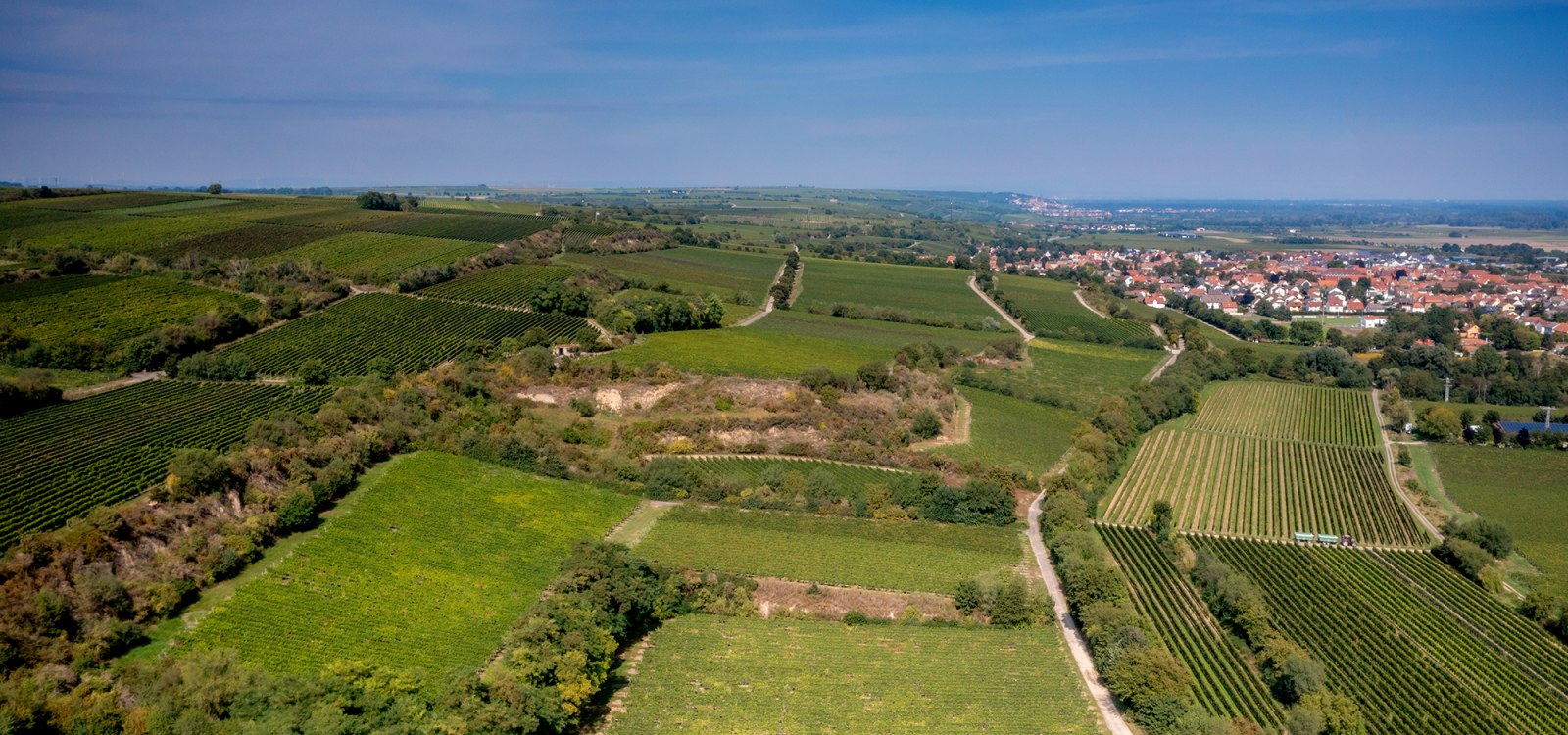 Guntersblumer Himmelthal Guntersblumer Himmelthal