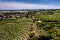 Mettenheimer Schlossberg Mettenheimer Schlossberg