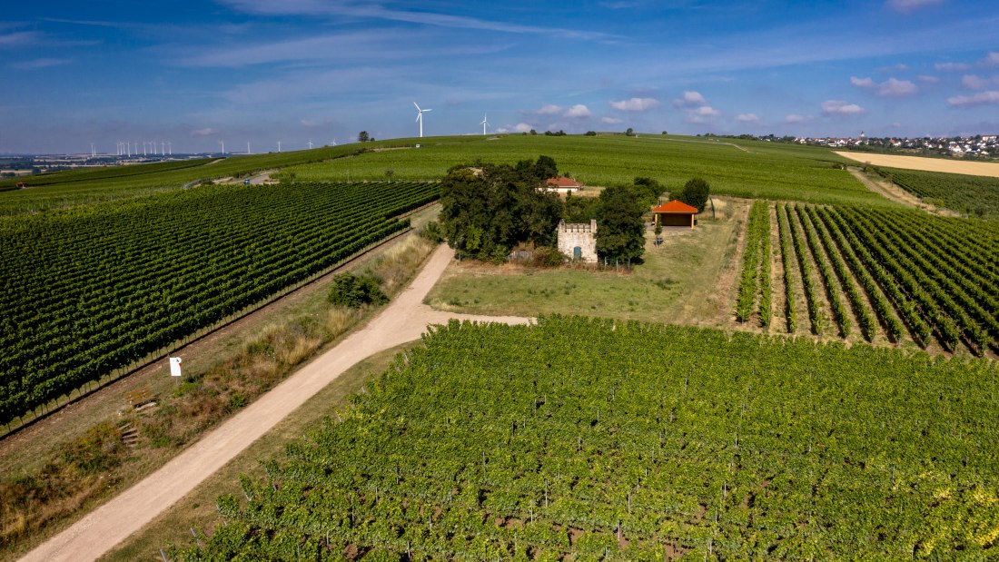 Mommenheimer Silbergrube Mommenheimer Silbergrube