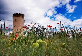 Wartturm bei Nierstein © Marina Noble Wartturm bei Nierstein © Marina Noble