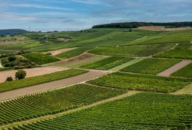 Frei-Laubersheimer Fels Frei-Laubersheimer Fels