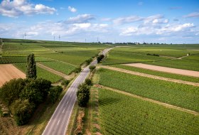 Westhofener Aulerde Westhofener Aulerde