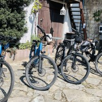 E-Bike Flotte E-Bike Flotte