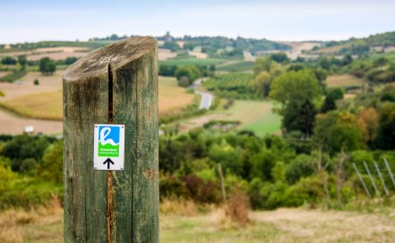 Beliebter Prädikatswanderweg mit Startpunkt am Bismarckturm in Ingelheim Beliebter Prädikatswanderweg mit Startpunkt am Bismarckturm in Ingelheim