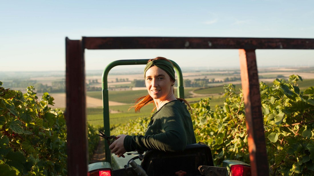 schittler2, © Weingut Schittler & Becker schittler2, © Weingut Schittler & Becker
