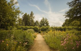 Botanischer Garten außen Botanischer Garten außen
