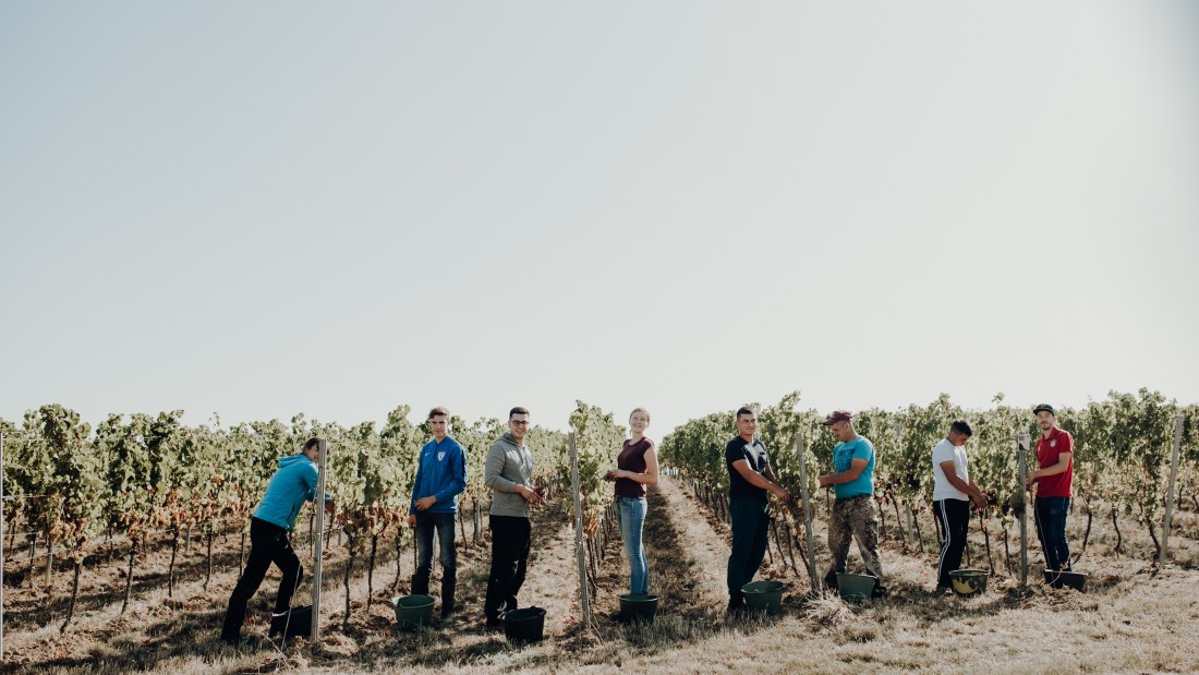 inesbarwig_weingut_bernhard_wolfsheim_2-197 inesbarwig_weingut_bernhard_wolfsheim_2-197