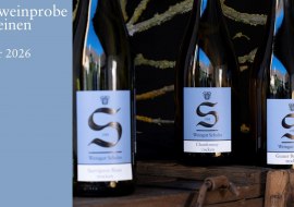 Themenweinprobe Finde Deinen Wein, © Weingut Schales Flörsheim-Dalsheim Themenweinprobe Finde Deinen Wein, © Weingut Schales Flörsheim-Dalsheim
