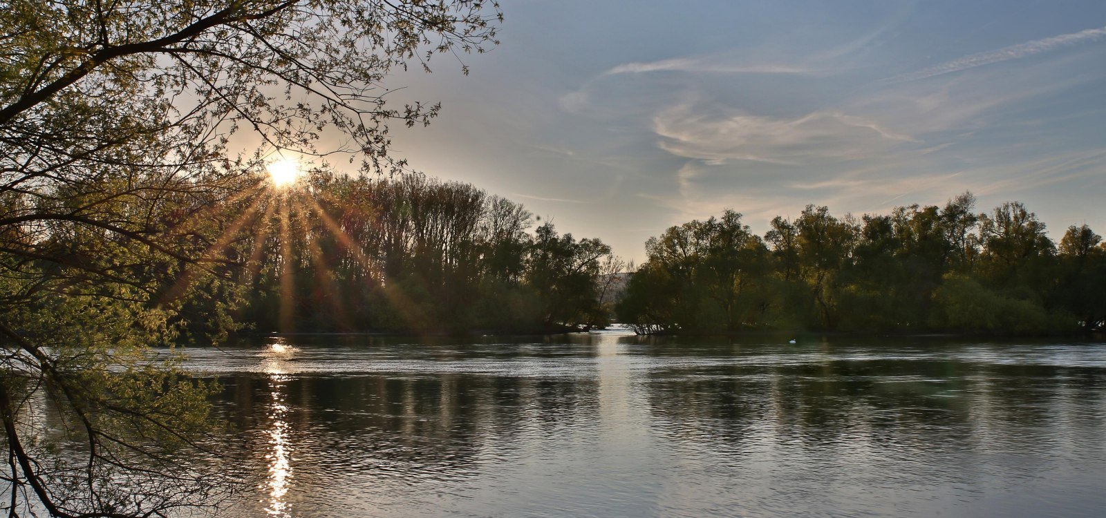Inselrhein, © Rainer Oppenheimer/Stadt Ingelheim Inselrhein, © Rainer Oppenheimer/Stadt Ingelheim
