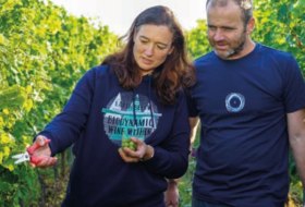 Weingut Gustavshof © Weingut Gustavshof Weingut Gustavshof © Weingut Gustavshof