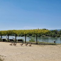 Rheinufer in Heidenfahrt © Rheinhessen-Touristik GmbH Rheinufer in Heidenfahrt © Rheinhessen-Touristik GmbH