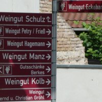 Die Weinolsheimer Winzer © Schäffer Weinolsheim Die Weinolsheimer Winzer © Schäffer Weinolsheim