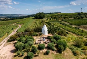 Flonheimer Rotenpfad © Rheinhessenwein e.V./Torsten Silz Flonheimer Rotenpfad © Rheinhessenwein e.V./Torsten Silz