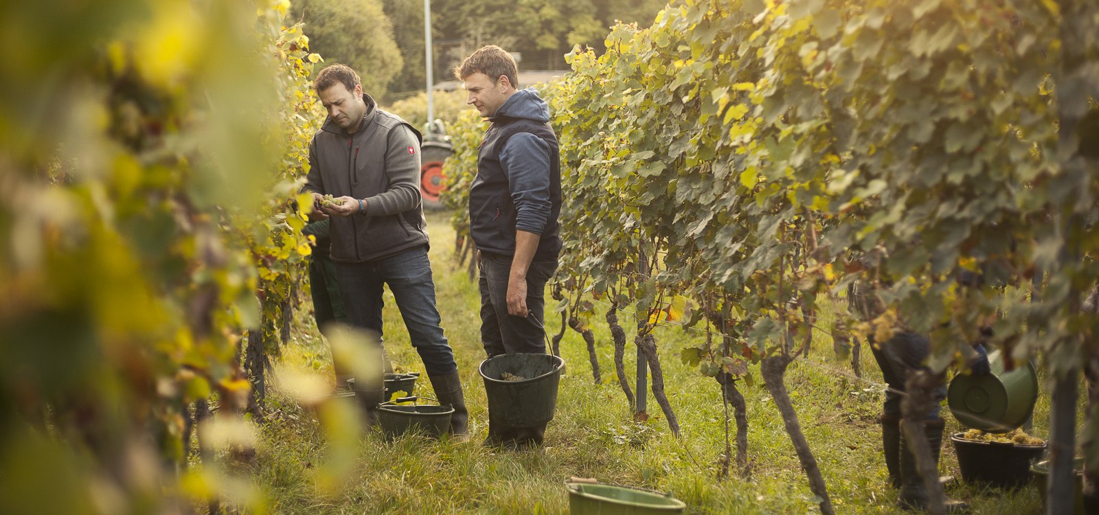Weingut Karl May_Winzer 2, © Weingut Karl May Weingut Karl May_Winzer 2, © Weingut Karl May