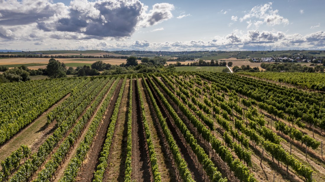 Lörzweiler Königstuhl Lörzweiler Königstuhl