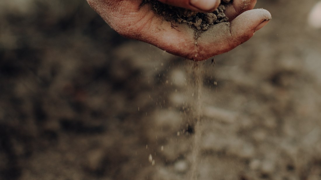 Weingut Bernhard_Erde und Hand, © Ines Barwig Weingut Bernhard_Erde und Hand, © Ines Barwig