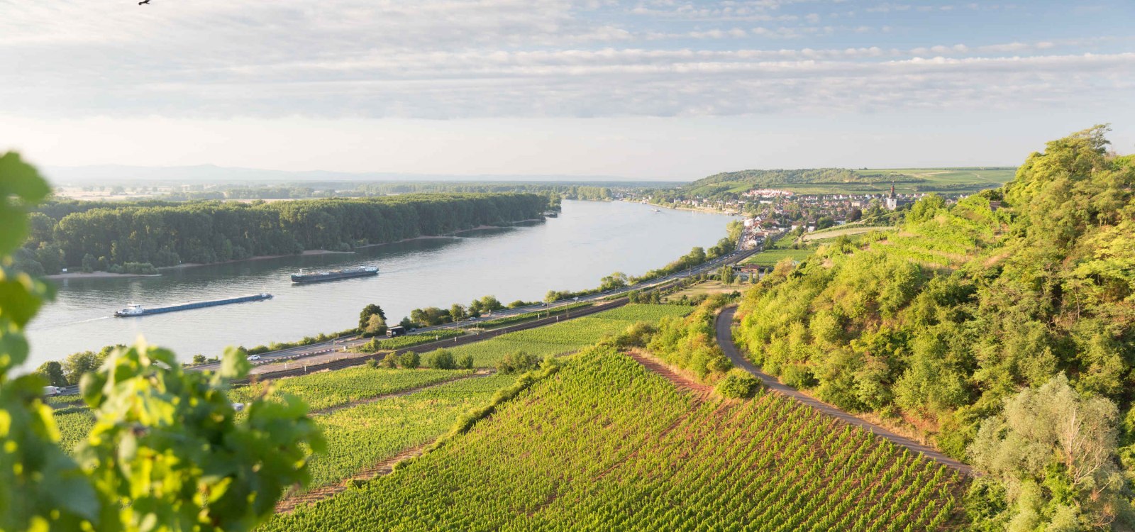 Nierstein Blick, © Georg Knoll Nierstein Blick, © Georg Knoll