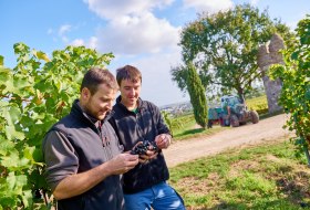 Weingut Geil_Winzer © Weingut Geil Weingut Geil_Winzer © Weingut Geil